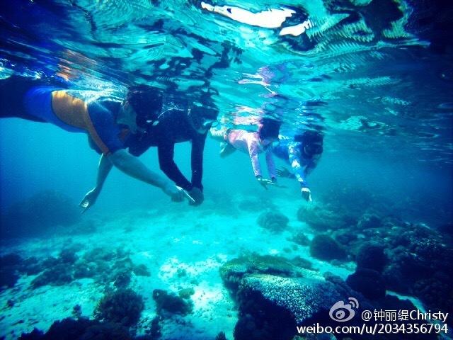 僵尸辨色球